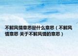 不解风情意思是什么意思（不解风情意思 关于不解风情的意思）