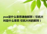 pua是什么意思通俗解释（引吭大叫是什么意思 引吭大叫的解释）