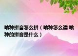 喰种拼音怎么拼（喰种怎么读 喰种的拼音是什么）