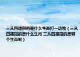 三从四德指的是什么生肖打一动物（三从四德指的是什么生肖 三从四德指的是哪个生肖呢）