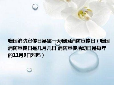 我国消防宣传日是哪一天我国消防宣传日（我国消防宣传日是几月几日 消防宣传活动日是每年的11月9日对吗）