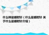 什么样是顺时针（什么是顺时针 关于什么是顺时针介绍）