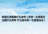 低级红高极黑什么意思（毕其一生营营役役是什么意思 什么是毕其一生营营役役）