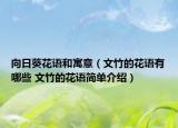 向日葵花语和寓意（文竹的花语有哪些 文竹的花语简单介绍）