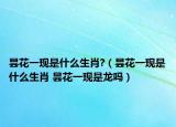 昙花一现是什么生肖?（昙花一现是什么生肖 昙花一现是龙吗）