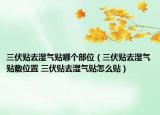 三伏贴去湿气贴哪个部位（三伏贴去湿气贴敷位置 三伏贴去湿气贴怎么贴）