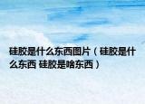 硅胶是什么东西图片（硅胶是什么东西 硅胶是啥东西）