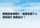 陈铭的老婆照片（陈铭老婆个人资料简介 陈铭简介）