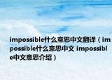 impossible什么意思中文翻译（impossible什么意思中文 impossible中文意思介绍）