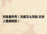 刘备是咋死（刘备怎么死的 历史上是病逝的）