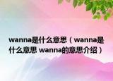 wanna是什么意思（wanna是什么意思 wanna的意思介绍）