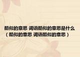 酷似的意思 词语酷似的意思是什么（酷似的意思 词语酷似的意思）