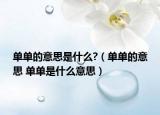 单单的意思是什么?（单单的意思 单单是什么意思）