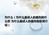 为什么（为什么最迷人的最危险什么歌 为什么最迷人的最危险歌词介绍）