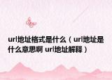 url地址格式是什么（url地址是什么意思啊 url地址解释）