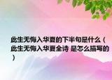 此生无悔入华夏的下半句是什么（此生无悔入华夏全诗 是怎么描写的）
