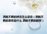 洒脱不羁的拼音怎么读音（洒脱不羁的意思是什么 洒脱不羁的解释）