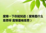 度娘一下你就知道（度娘是什么意思呀 度娘是啥意思）