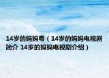 14岁的妈妈粤（14岁的妈妈电视剧简介 14岁的妈妈电视剧介绍）