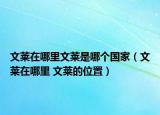 文莱在哪里文莱是哪个国家（文莱在哪里 文莱的位置）