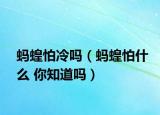 蚂蝗怕冷吗（蚂蝗怕什么 你知道吗）