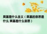 奠基是什么含义（奠基的意思是什么 奠基是什么意思）