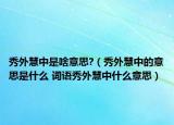 秀外慧中是啥意思?（秀外慧中的意思是什么 词语秀外慧中什么意思）