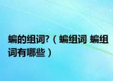 蝙的组词?（蝙组词 蝙组词有哪些）