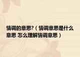 情调的意思?（情调意思是什么意思 怎么理解情调意思）