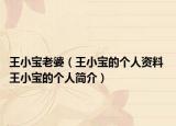 王小宝老婆（王小宝的个人资料 王小宝的个人简介）