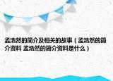 孟浩然的简介及相关的故事（孟浩然的简介资料 孟浩然的简介资料是什么）
