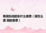 有洞东向的东什么意思（洞怎么读 洞的意思）