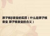 原子核β衰变的实质（什么是原子核衰变 原子核衰变的含义）