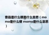 曹县是什么梗是什么意思（momo是什么梗 momo是什么意思）
