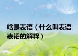 啥是表语（什么叫表语 表语的解释）