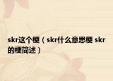 skr这个梗（skr什么意思梗 skr的梗简述）