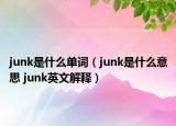junk是什么单词（junk是什么意思 junk英文解释）