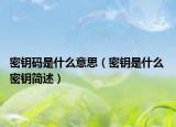 密钥码是什么意思（密钥是什么 密钥简述）
