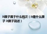 it牌子属于什么档次（it是什么牌子 it牌子简述）