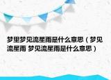 梦里梦见流星雨是什么意思（梦见流星雨 梦见流星雨是什么意思）