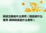 延续注册是什么意思（延续是什么意思 词语延续是什么意思）