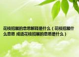花枝招展的意思解释是什么（花枝招展什么意思 成语花枝招展的意思是什么）