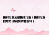 独到见解还是独道见解（独到见解的意思 独到见解的解释）