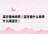蓝牙是啥意思（蓝牙是什么意思 什么是蓝牙）