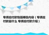 专项应付款包括哪些内容（专项应付款是什么 专项应付款介绍）