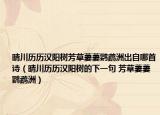 晴川历历汉阳树芳草萋萋鹦鹉洲出自哪首诗（晴川历历汉阳树的下一句 芳草萋萋鹦鹉洲）