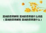 湿润的意思解释 湿润的意思是什么词语（湿润的意思解释 湿润的意思是什么）