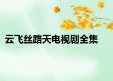 云飞丝路天电视剧全集