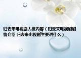 归去来电视剧大概内容（归去来电视剧剧情介绍 归去来电视剧主要讲什么）
