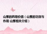山葱的药用价值（山葱的功效与作用 山葱相关介绍）